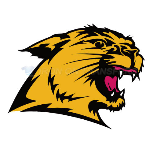 Northern Michigan Wildcats Logo T-shirts Iron On Transfers N5690